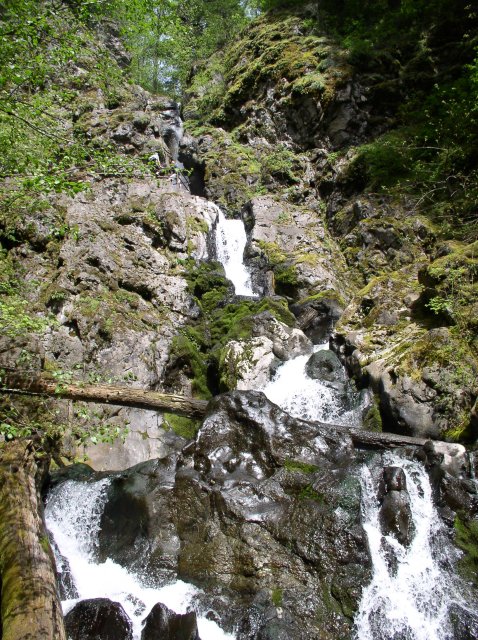 4.30.06 Hamilton Mountain 029 